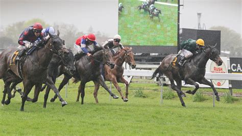 Bookies fight to stand and survive .